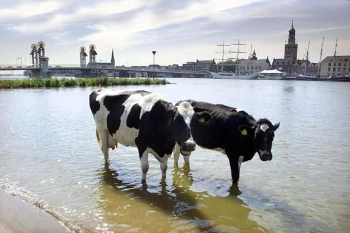 Hotel Van Dijk Kampen Kültér fotó